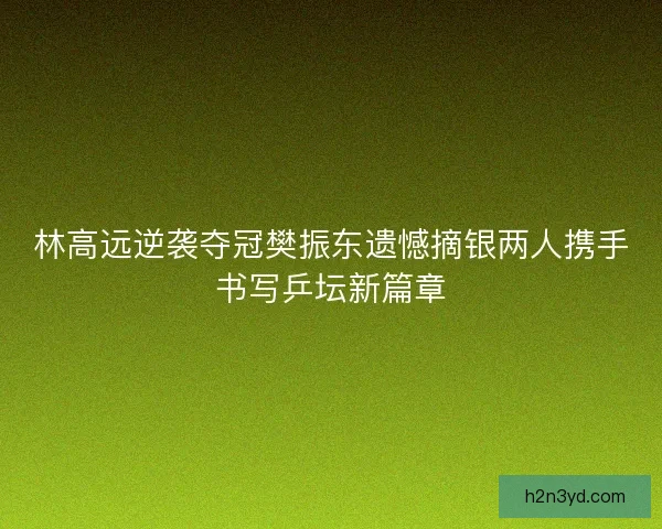 林高远逆袭夺冠樊振东遗憾摘银两人携手书写乒坛新篇章